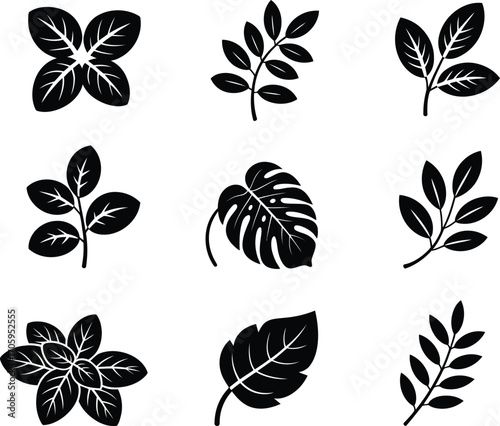 Collection of nine stylized black leaf silhouettes on a white background