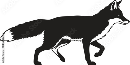 vector illustration of a fox