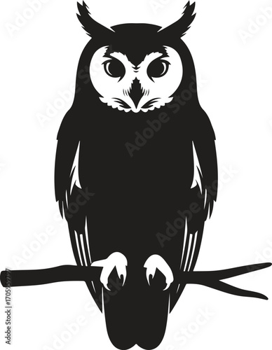 owl on a branch
