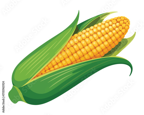 Realistic corn cob vector with leaf isolated on white background