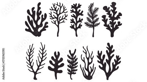 A diverse collection of black seaweed and marine algae silhouettes. Set of isolated graphic icons representing underwater botanical plants