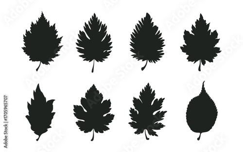 Set of isolated black leaf silhouettes, a diverse collection of botanical shapes and icons for nature-themed graphic design projects