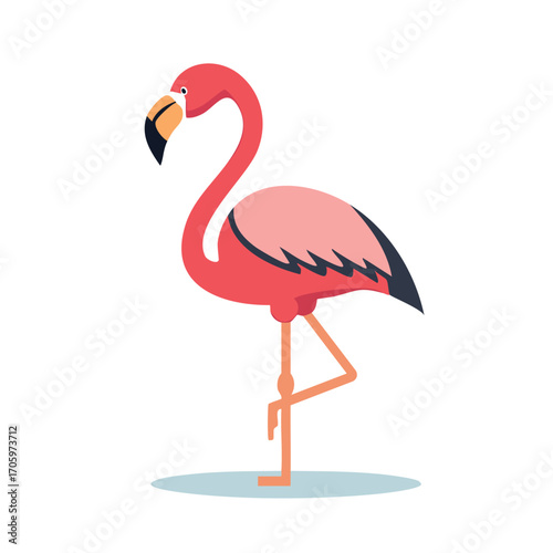 Isolated tropical pink flamingo bird standing on a white background, a beautiful illustration of nature's wild and colorful animal