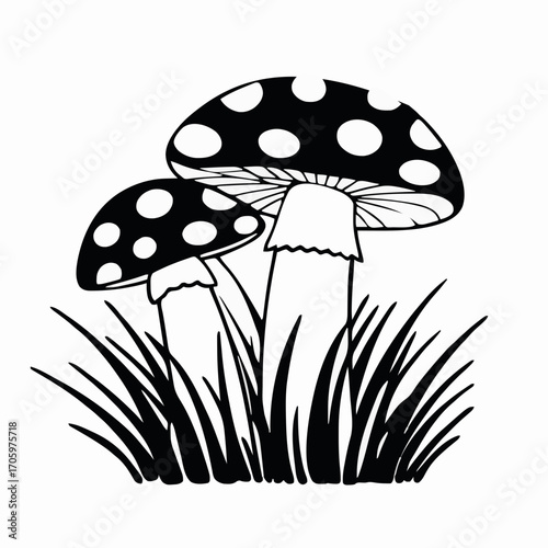 Two black and white spotted mushrooms in grass