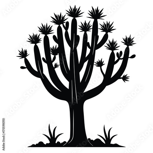 Striking Silhouette of a Quiver Tree Majestic Desert Icon with Sharp Leaves and Unique Branching in Monochrome
