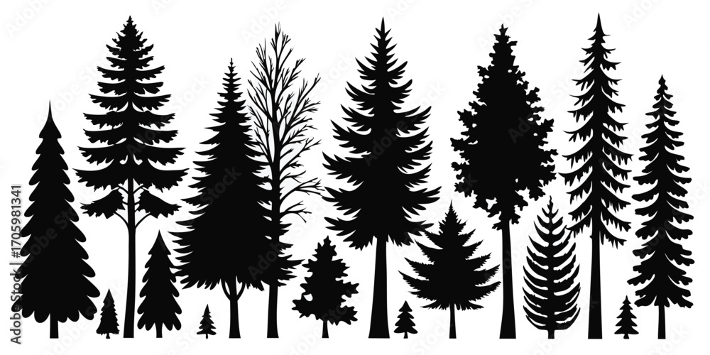 Fototapeta premium Monochromatic Forest Silhouette A Diverse Collection of Evergreen Trees and Bare Branches Evoking a Sense of Wilderness