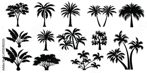 A Variety of Tropical Trees Silhouetted Against a White Background Bringing a Sense of Warmth and Exoticism
