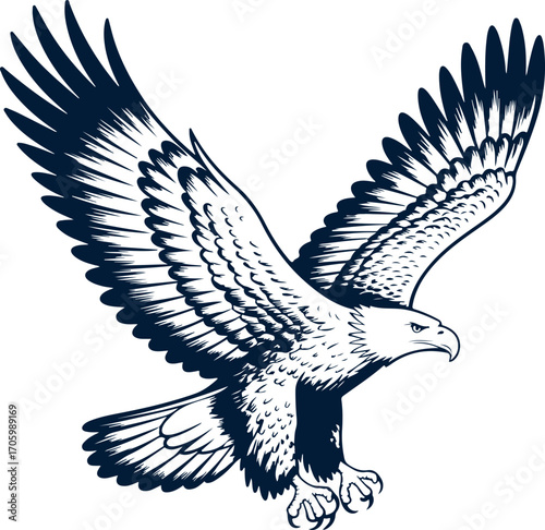 Majestic Eagle Soaring Powerful Bird of Prey in Flight Illustration Art