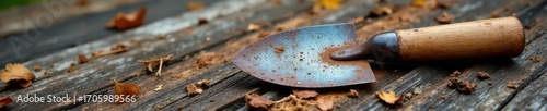Rusty trowel, pruning shears, rake on weathered wood, trowel, leaf