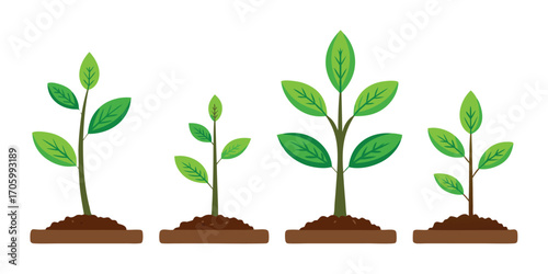 Four Seedlings in Soil A Symbol of Growth and Nature A Fresh Start and Environmental Awareness and Ecological Concepts