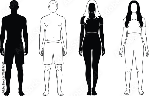 Male and female body comparison vector set featuring silhouette and anatomical line drawings for educational, fashion, and design reference