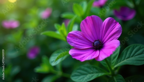 Deep purple blooms, vibrant petals, lush green foliage, nature, flower photography, garden