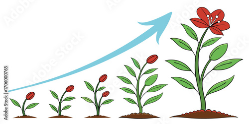 Growth Stages of a Plant Depicted with a Rising Arrow Charting its Progress and Development to Maturity