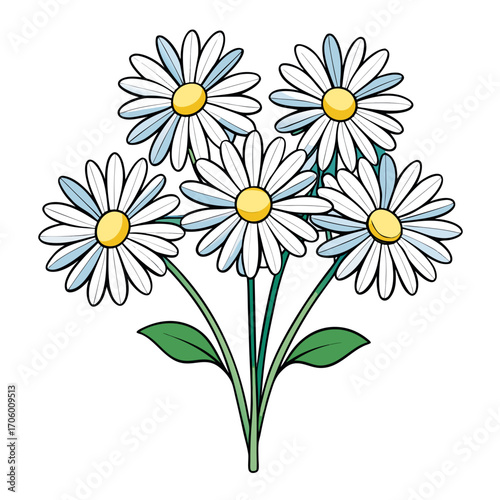 daisies on white background