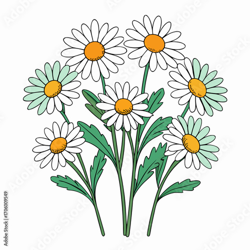 bouquet of camomiles