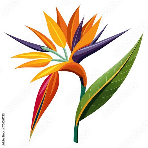 orange flower isolated on white