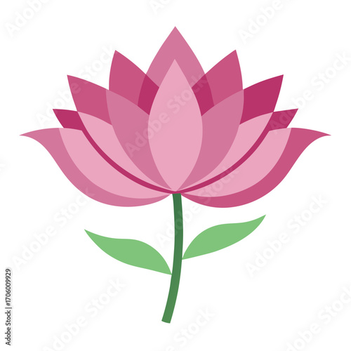 lotus flower vector