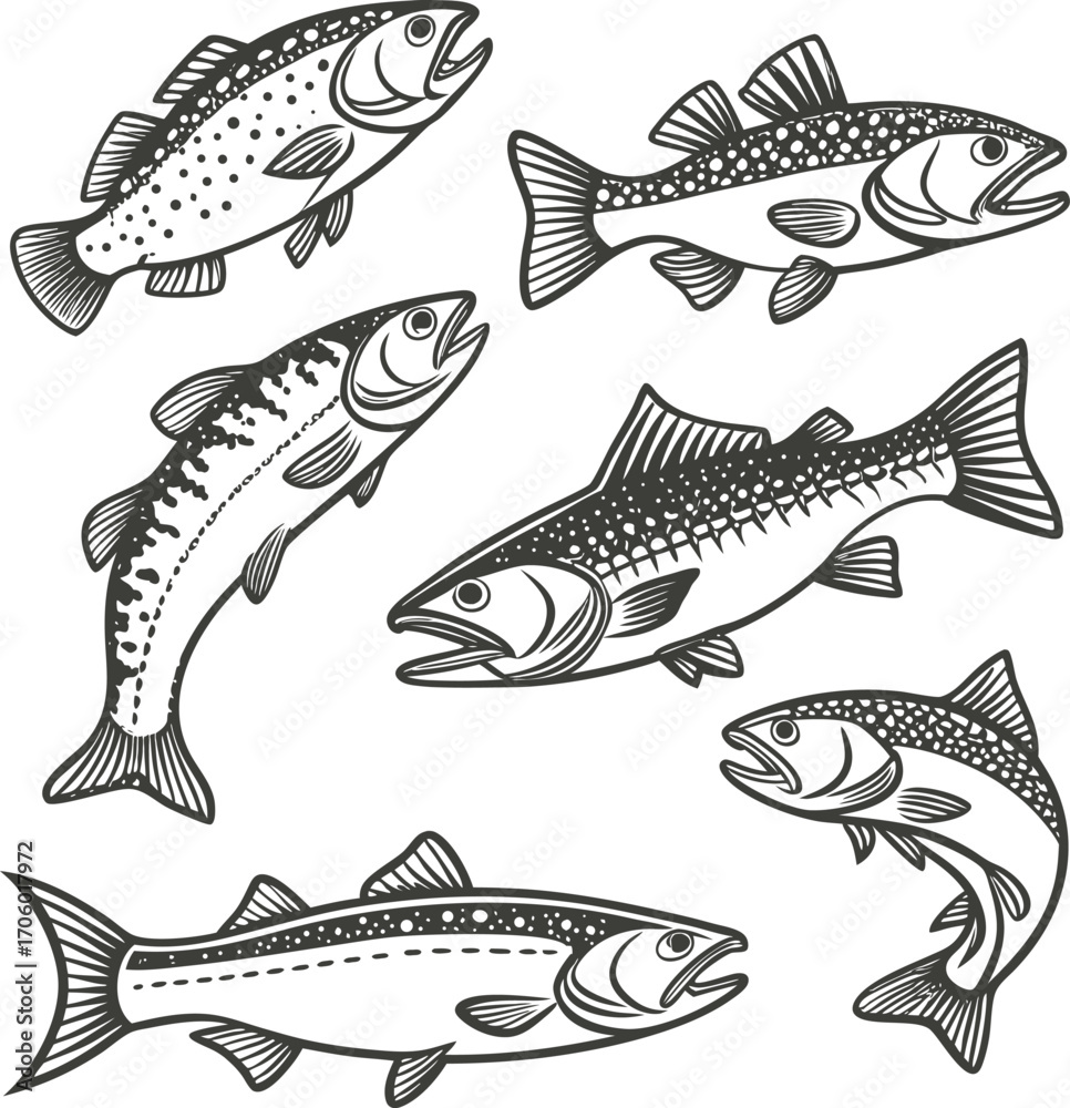 Fototapeta premium Hand Drown Fish Vector illustration Silhouette. Set of Fishes.