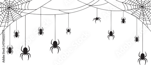 Halloween Spider Web Border – Black Silhouette Vector with Hanging Spiders.