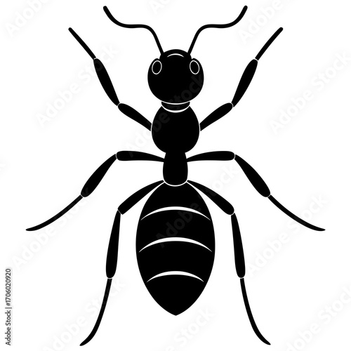 A detailed black ant silhouette viewed from above on a white background