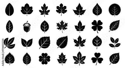 Diverse black silhouette leaf icons collection. Includes maple, oak, birch, clover, and acorn vector symbols for nature designs.