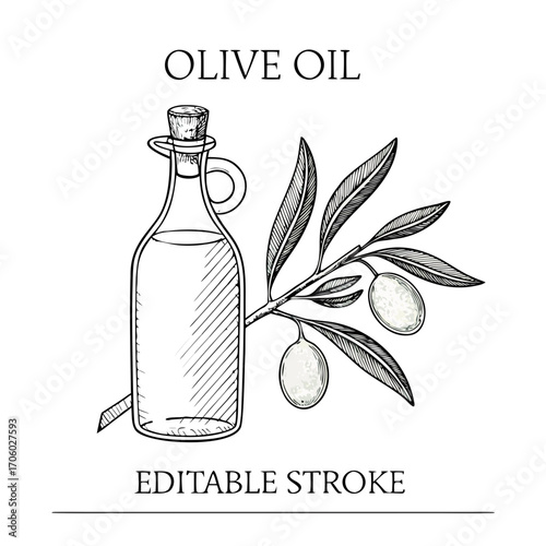 Olive oil and bottle vector 