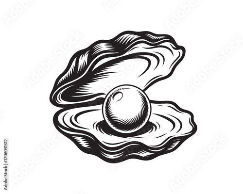 Engraved style vector graphic of an open oyster showcasing a valuable round pearl, isolated on a white background