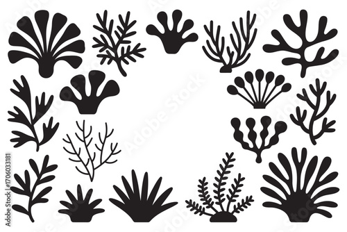 A collection of black seaweed and coral silhouettes arranged in a circular frame. Vector illustration of various marine plants. 