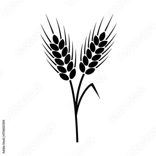 Vector art of pair of wheat stalks represents the simple beauty and abundance of natures gifts in a minimalist design
