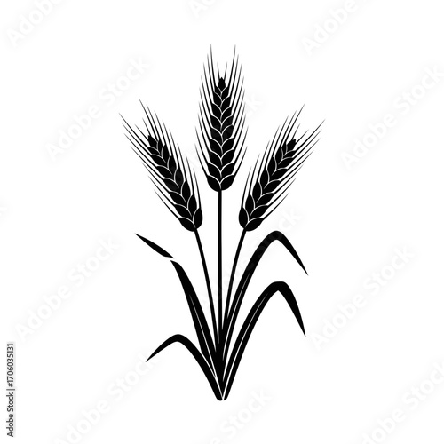 Illustration of three wheat stalks, symbolizing abundance, growth, and the bounty of the harvest season in agriculture