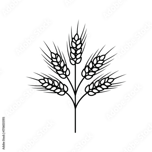 Illustration of five wheat ears, representing agriculture, harvest, and the importance of cereal crops in food production