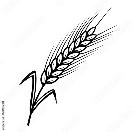Vector art of detailed line art of a wheat ear, showcasing the beauty of grain, agriculture, and the essence of a bountiful harvest