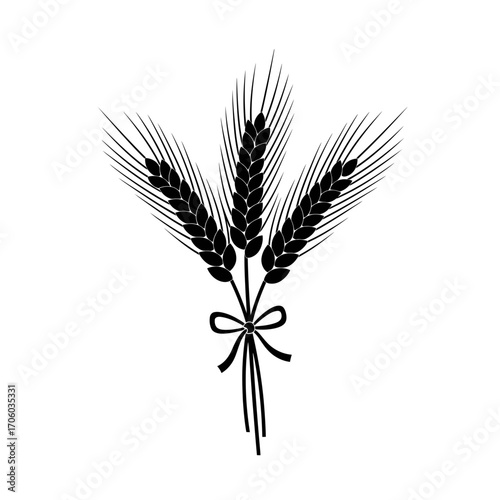 Vector art of three wheat ears tied with a ribbon, a symbol of harvest, agriculture, and rural life, vector illustration