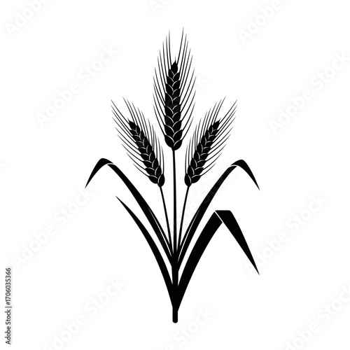 Vector art of three wheat ears with leaves, a symbol of harvest, agriculture, and rural life, vector illustration