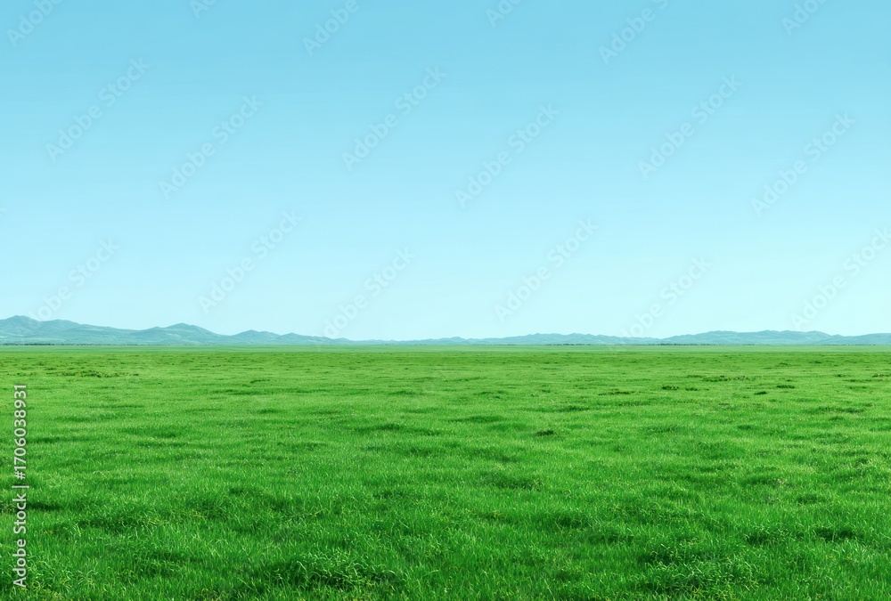 Fototapeta premium Vast, vibrant green field stretches to a distant mountain range beneath a clear blue sky. A serene & peaceful natural landscape view