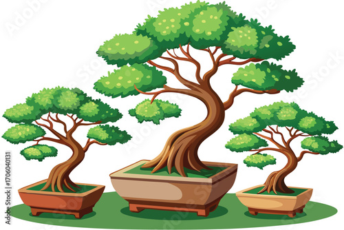 Charming Bonsai Trees Displayed Together in Beautiful Pots