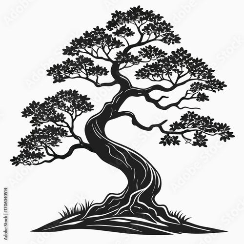 Striking Silhouette of a Mature Bonsai Tree Standing Tall