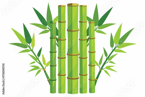 Bamboo Stalks and Leaves Representing Nature and Serenity in a Calming Arrangement