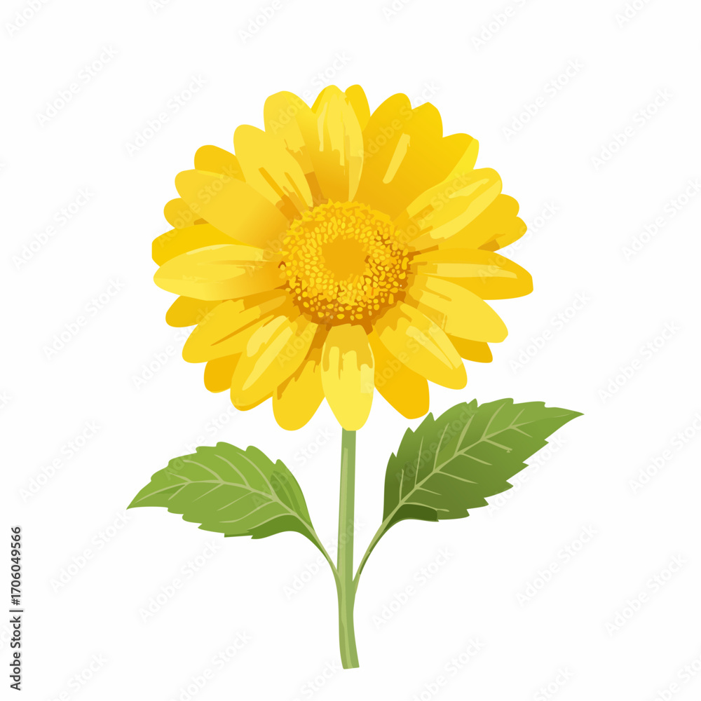 Obraz premium Kräuter