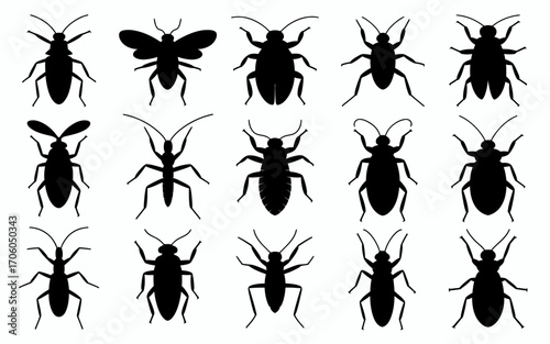 Vector art of various insect silhouettes for design