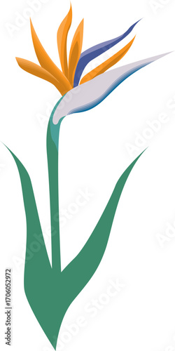 Vibrant bird of paradise illustration isolated on white background
