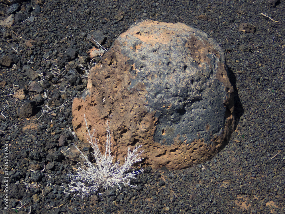 Obraz premium Volcanic landscape in the Teno Point, Tenerife island, Spain