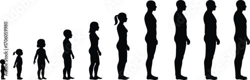 Human growth stages from childhood to adulthood, people silhouette vector, age progression, life development concept, height evolution, maturity stages