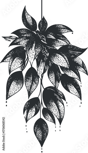 A decorative black and white illustration of hanging leaves and foliage in a natural style.