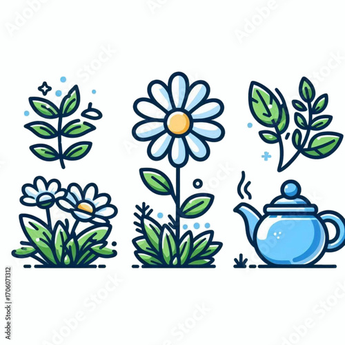 Chamomile Tea Illustration Line Art Herbs Flowers Teapot Graphics