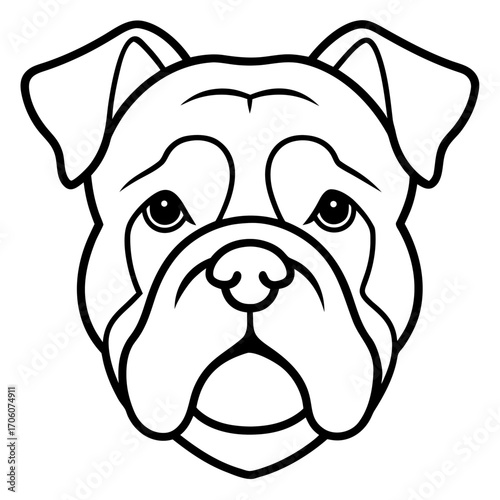 english bulldog portrait