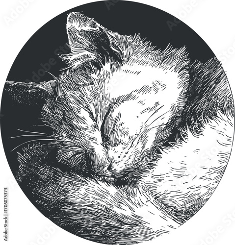 A serene illustration of a sleeping cat captured in a round design.