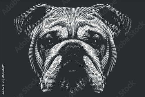 Stylized black and white illustration of a bulldog's face with intricate line work.