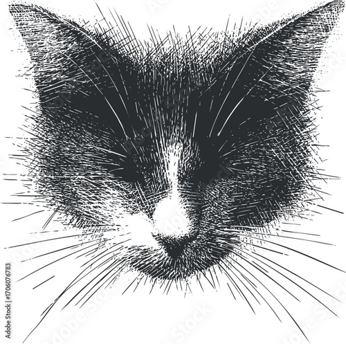 A stylized black and white illustration of a cat's face featuring expressive whiskers and fur.