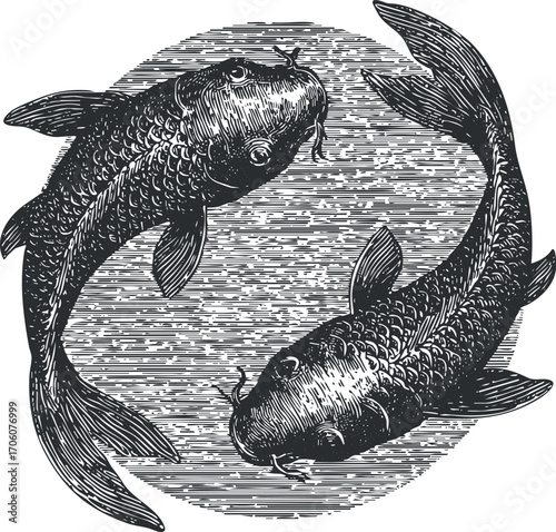 A vintage black and white illustration of two koi fish swimming in a circular pattern.